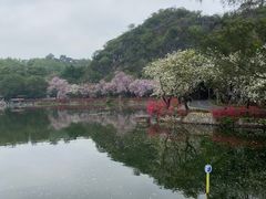 -星湖旅游景区七星岩