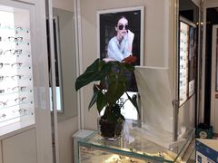 -宝岛眼镜(福州宝龙二店)