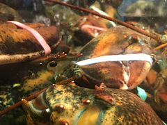 -徐记海鲜(大雁塔|金都店)