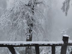 -瓦屋山景区