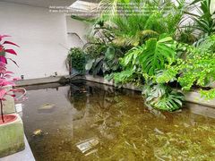 -漫笙舍Manse·咖啡·民宿