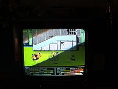 -新月集庭院咖啡馆(老邮局店)