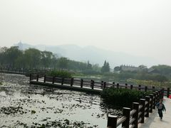 -长兴太湖图影湿地文化园