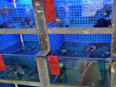 -鑫鸿达·海鲜闽菜热炒小馆(中山路店)