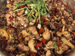 -食神又名厕所兔
