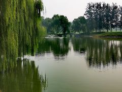 -北京鸿华高尔夫练习场