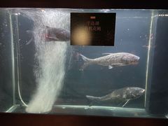 -夜上海(新天地店)