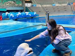 -海合安成都极地海洋公园