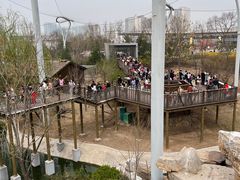 -太原动物园