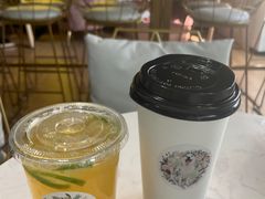 -Husky Go! 哈士奇体验馆·宠物咖啡厅狗咖