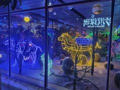 -南宫五洲植物乐园