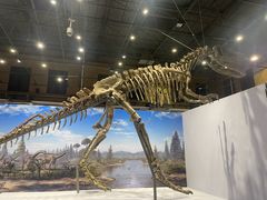 -国家自然博物馆