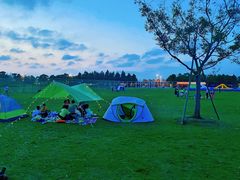 -春花秋色城市公园