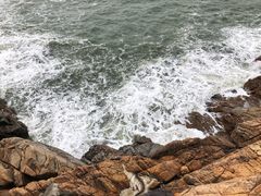-广东惠东海龟国家级自然保护区