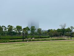 -春花秋色城市公园