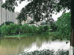 -沐仙湖湿地公园