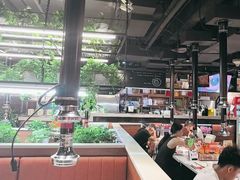 -猫爪爪原切自助烤肉(观音桥阳光世纪店)
