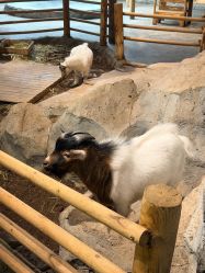 -Zoolung Zoolung动物主题公园(海信广场店)