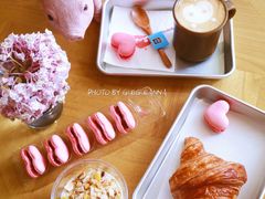 -WHEN PIGS FLY当猪飞