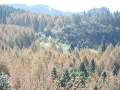 -山王坪喀斯特国家生态公园