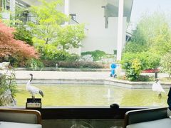 福鼎白茶-广富林宰相府酒店·水云间