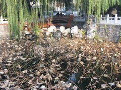 -北京积水潭医院-停车场