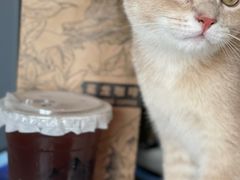 -冕龙MIANLONG COFFEE(福田店)