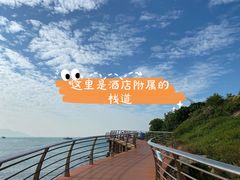 -东澳岛