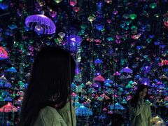 -迷斯伍德星空博物馆
