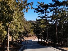 -北京西山国家森林公园