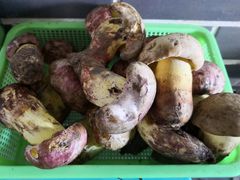 -双喜农庄·菌香园(安居家园店)