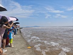 -观潮胜地公园