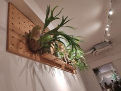 -1861意大利餐厅(来福士店)