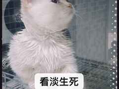 -美联众合爱康动物医院•复杂内科•肿瘤科•牙科•腔镜诊疗中心