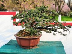 -南山植物园