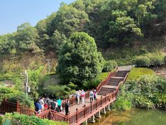 -桃花岭景区