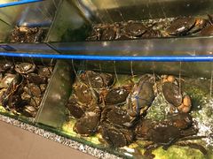 -Isla Sugbu Seafood City