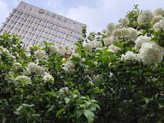 -郑和公园