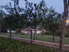 -新江湾城公园