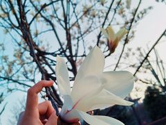 -辛亥革命博物院北区