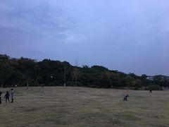 -羊山湖公园