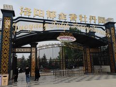 -洛阳郁金香牡丹园