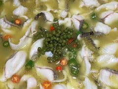 -青花椒花椒鱼(合生汇店)
