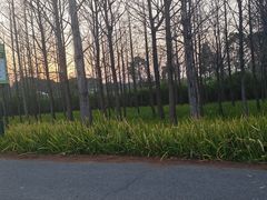 -嘉北郊野公园