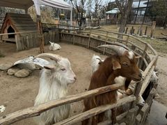 -祥源·阜阳生态乐园