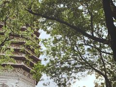 -玲珑塔公园