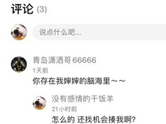 -chicken plus韩国炸鸡(城阳店)