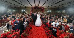 -DNA Wedding 婚礼记(上海店)