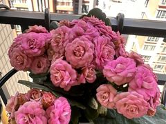 -水墨田塬(印象汇店)