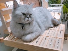 -Oasis绿洲银饰珍珠手作diy(壹方城店)